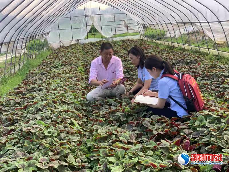 邵阳农商银行：学党史 办实事 为民解困践初心