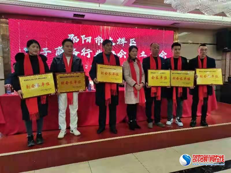 大祥区电商行业协会成立