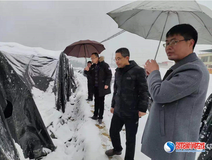 洞口县水东镇：抗风雪战低温，暖民心保产业