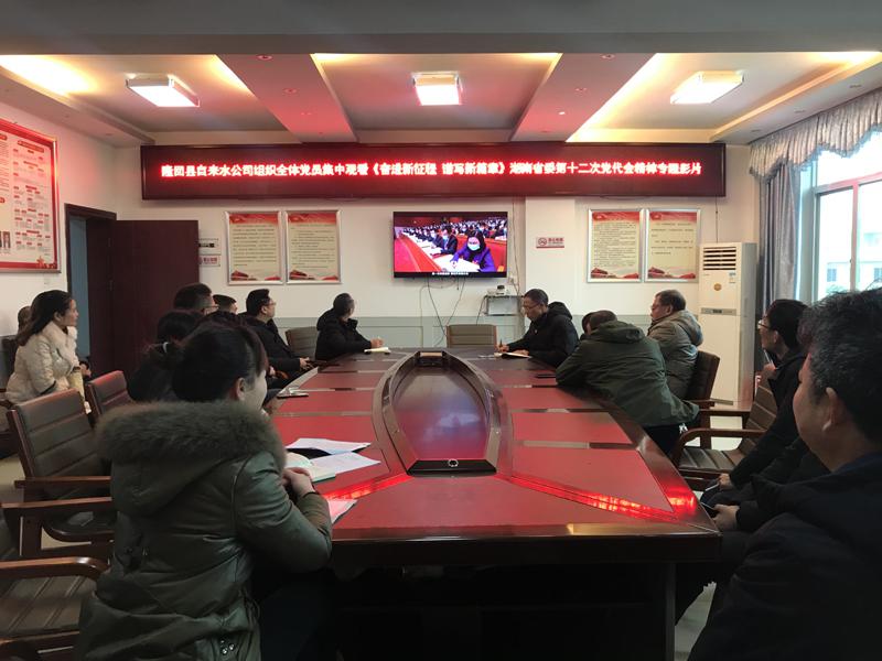 隆回县自来水公司集中观看湖南省第十二次党代会精神专题影片