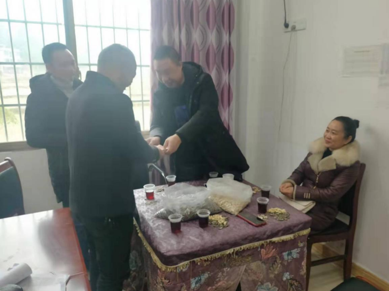 隆回县花门街道：政协委员下基层 深入调研助振兴
