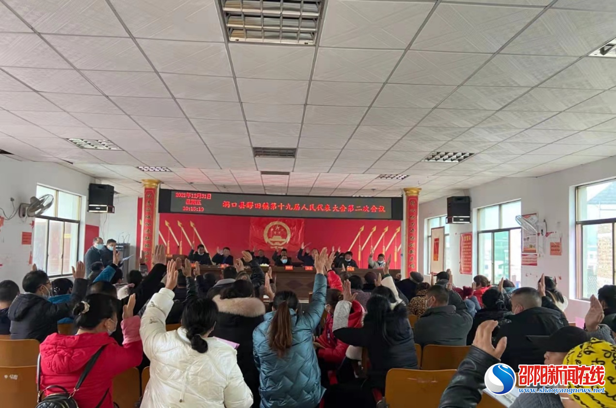 洞口县醪田镇第十九届人民代表大会第二次会议胜利闭幕
