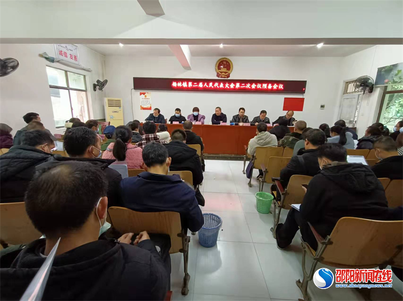 洞口县杨林镇召开第二届人民代表大会第二次会议