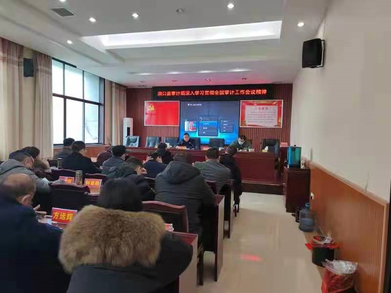 洞口县审计局深入学习贯彻全国审计工作会议精神