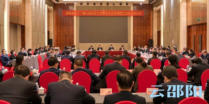 直通省两会|邵阳代表团审议省人大常委会工作报告和“两院”工作报告