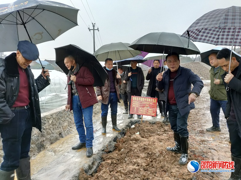 邵阳县强力推动抓实高标准农田项目建设