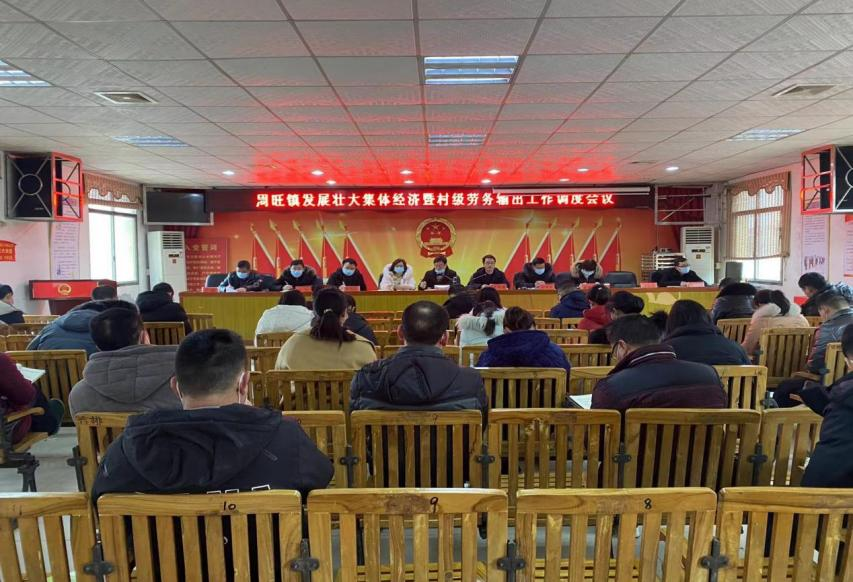 隆回县周旺镇召开发展壮大村级集体经济暨村级劳务输出工作调度会