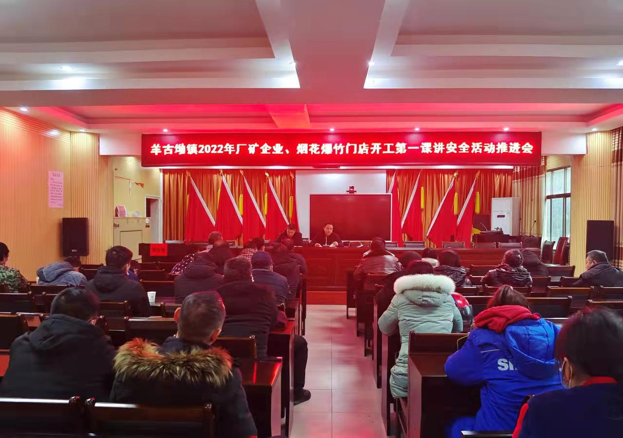 隆回县羊古坳镇召开节后复工复产“开工第一课讲安全”培训活动推进会