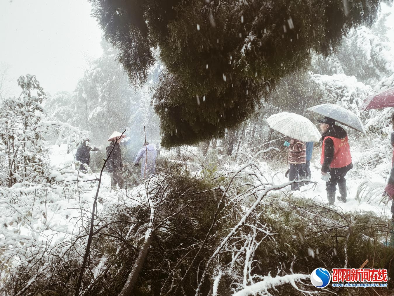 隆回县荷香桥镇党员志愿者  积极应对雨雪极端天气