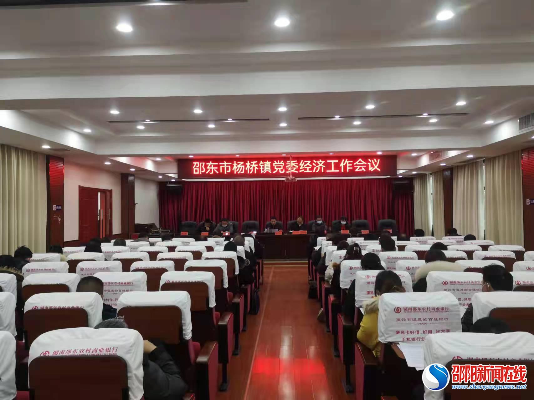 邵东市杨桥镇党委召开经济工作会议