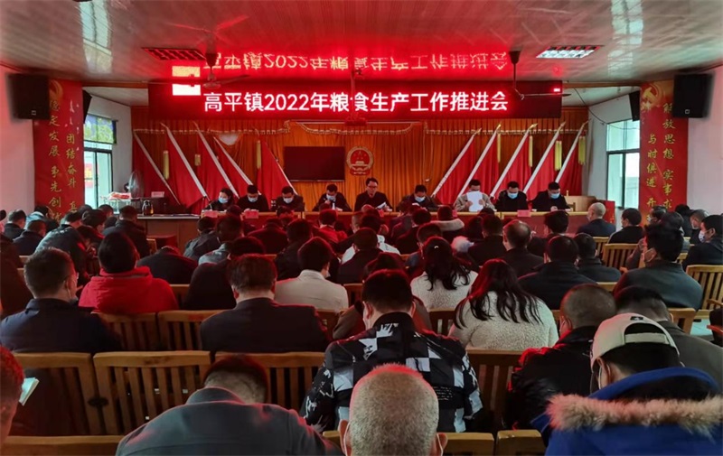 隆回县高平镇召开2022年粮食生产工作会议