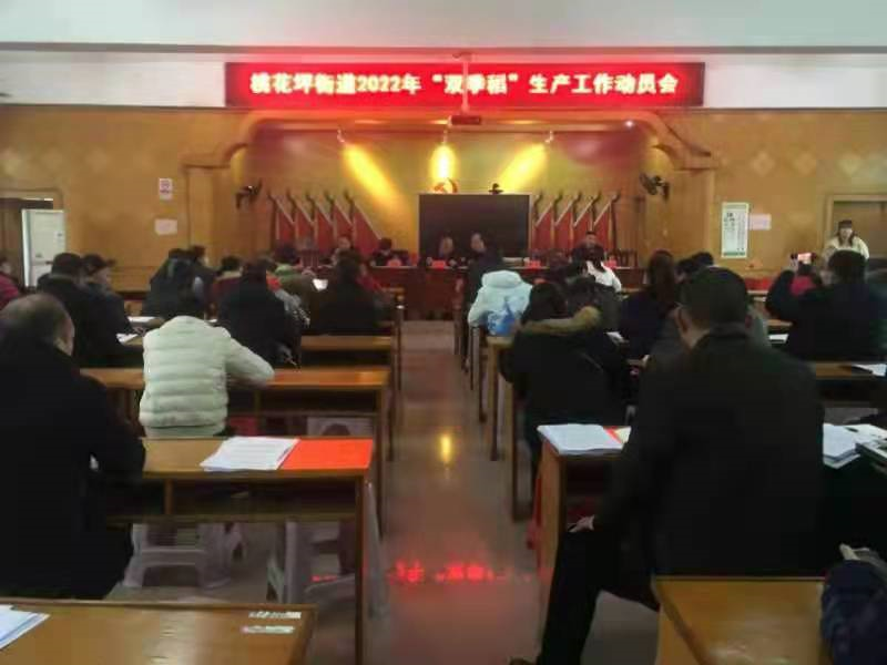 隆回县桃花坪街道召开2022年“双季稻”生产工作动员会
