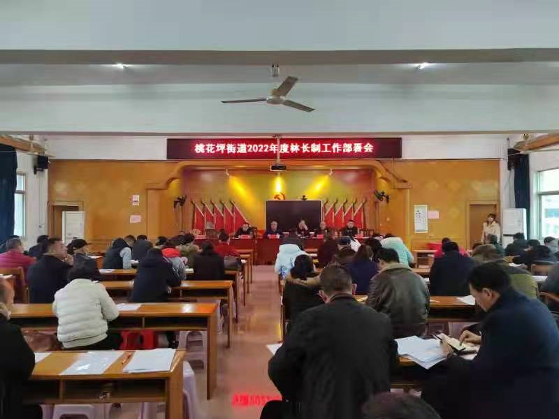 隆回县桃花坪街道召开林长制工作部署会议