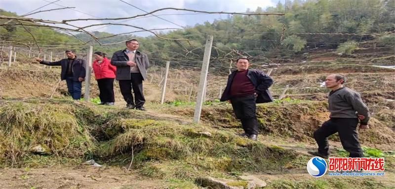 新宁县黄金瑶族乡： 聚集产业发展，共筑产业致富之路