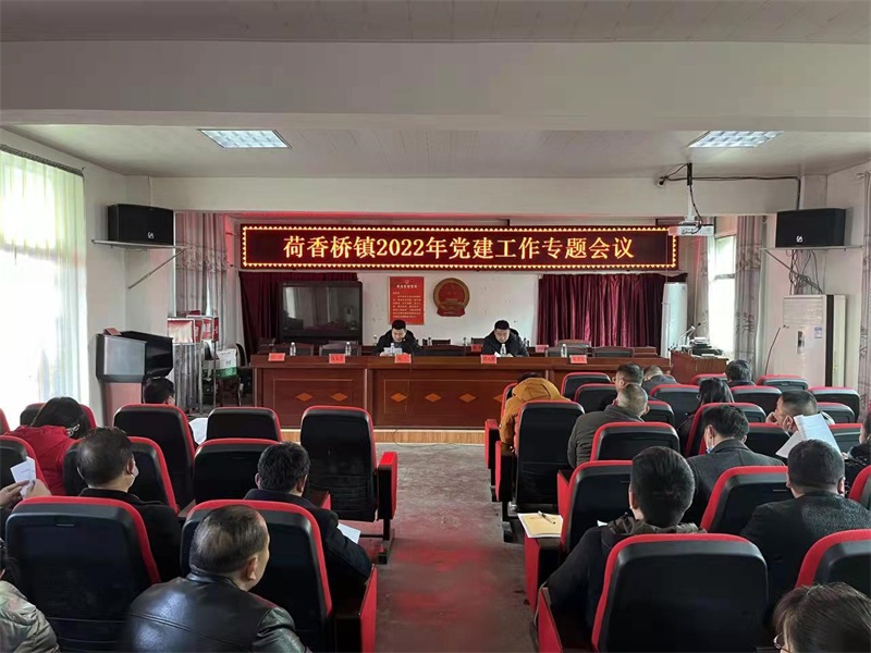 隆回荷香桥镇：抓稳抓实“神经末梢”，激发党建新活力