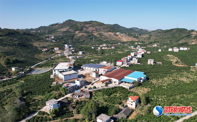 新宁县金石镇月汉村：龙丰果业助力打造乡村精神高地