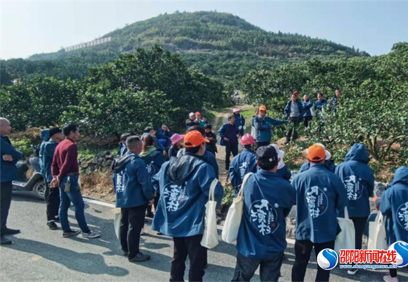 无边光景筑乡梦——新宁县龙丰果业以脐橙作支点撬动一个现代亿元产业