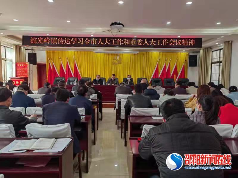 邵东市流光岭镇传达学习全市人大工作和市委人大工作会议精神