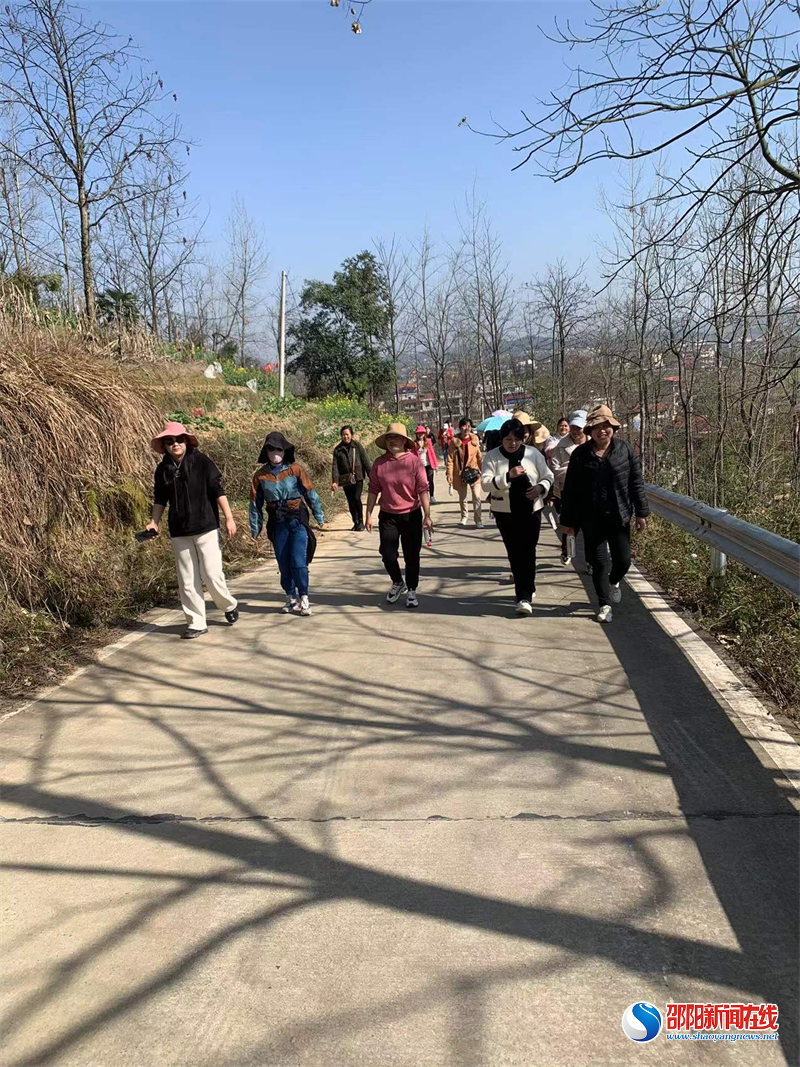 洞口县杨林镇开展“三八”妇女节踏春登山活动