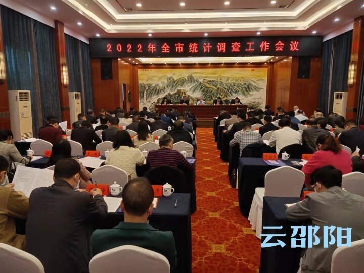 2022年全市统计调查工作会议召开