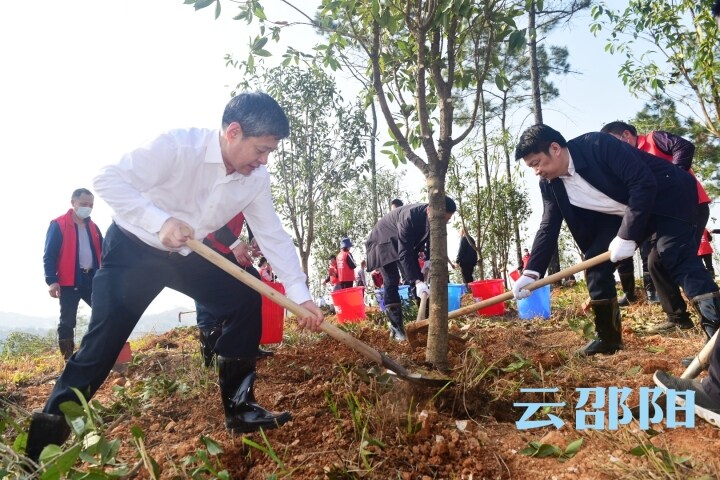 严华华学健等市领导与干部群众一道参加义务植树活动