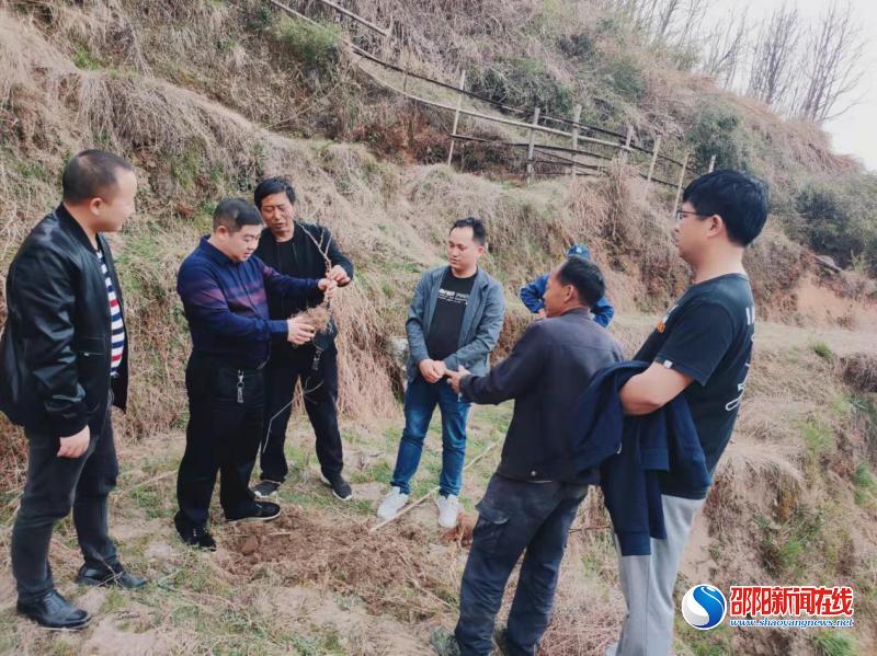 乡村振兴追梦人 瑶乡致富领头雁——新宁县黄金瑶族乡党委书记许斌