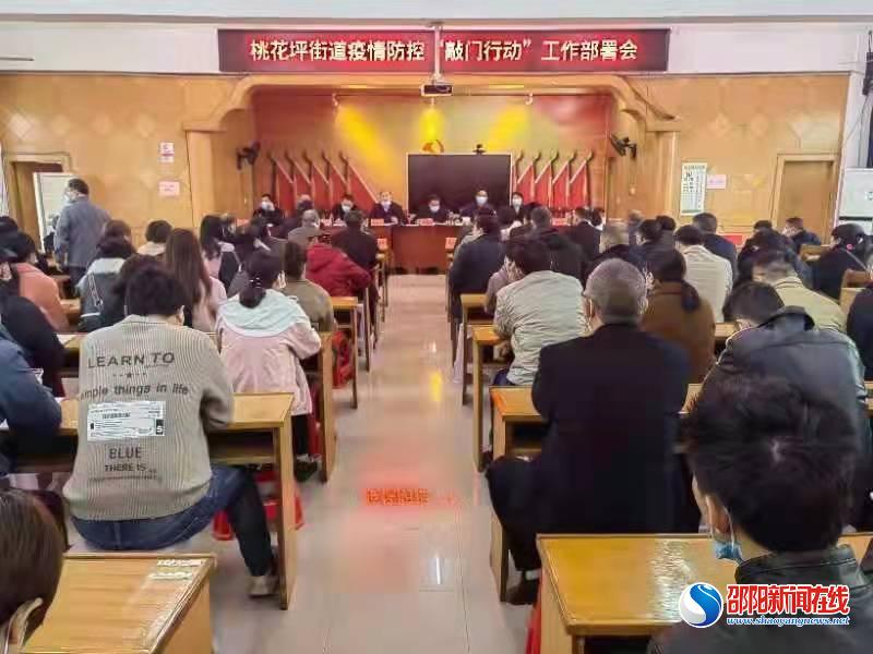 隆回县桃花坪街道“敲门行动”进万家 筑牢疫情防控网