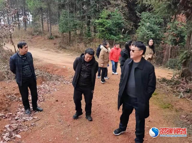 邵东市宋家塘街道多举措扎实推进林长制工作