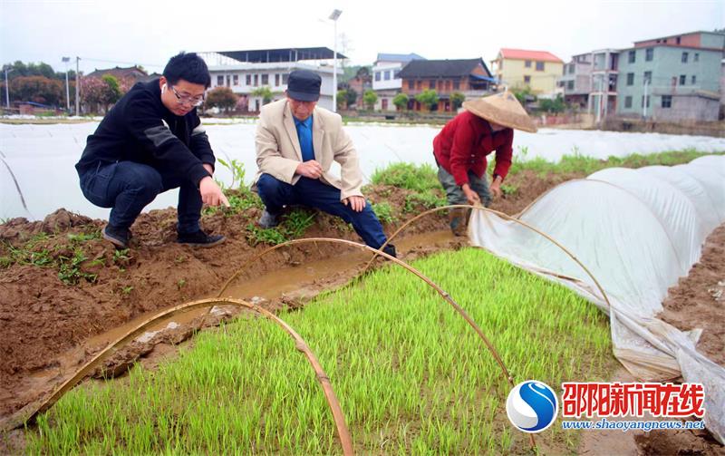 邵阳县农技种植园里的“父子兵”     