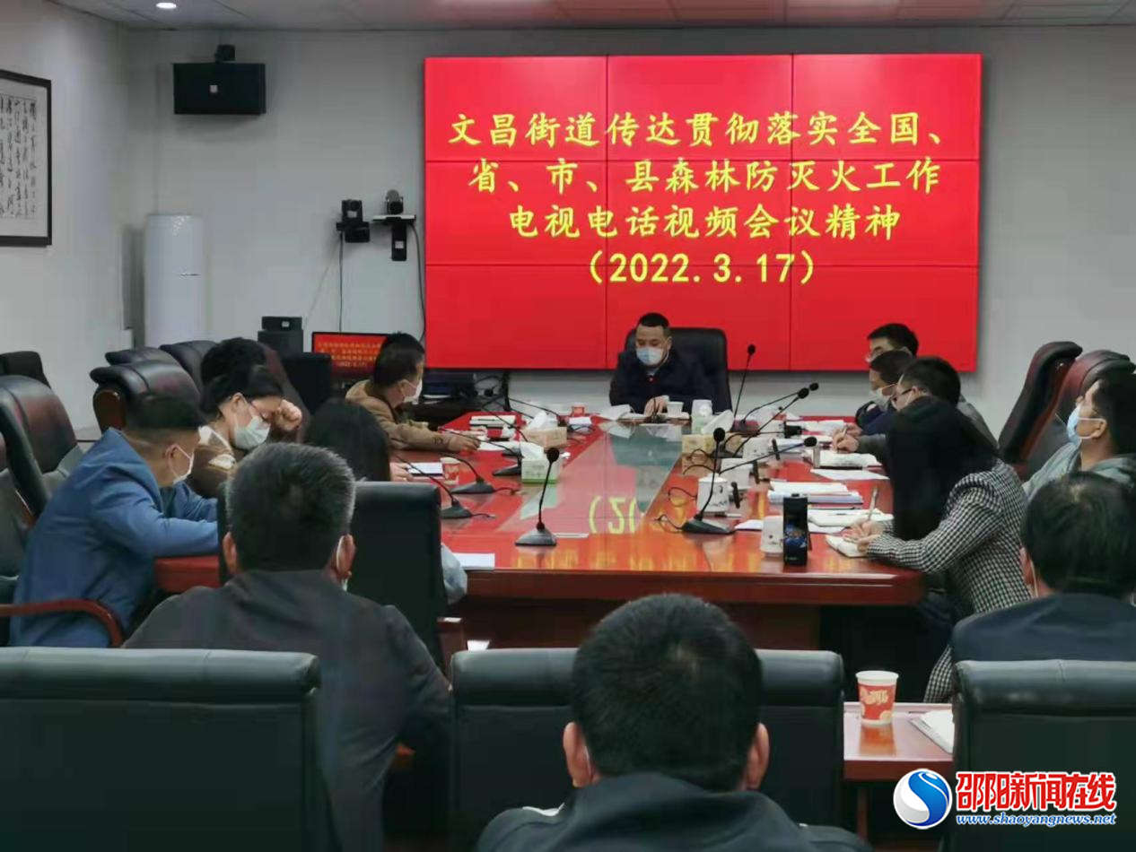 平安清明，防火先行——洞口县文昌街道筑牢清明期间森林“防火墙”