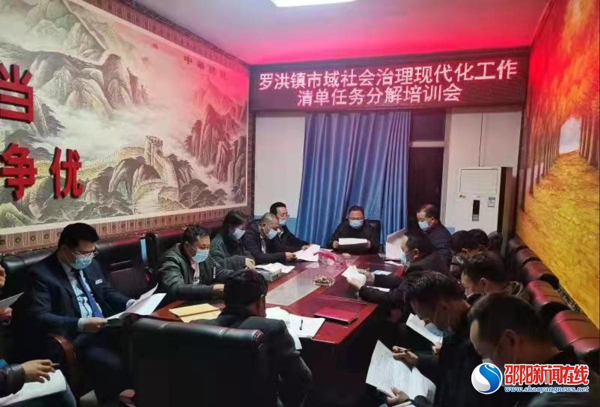 隆回县罗洪镇市域社会治理现代化工作培训会