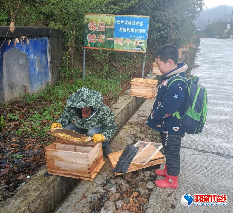 洞口县渣坪乡大坪村：发展蜂蜜产业 酿造甜蜜生活