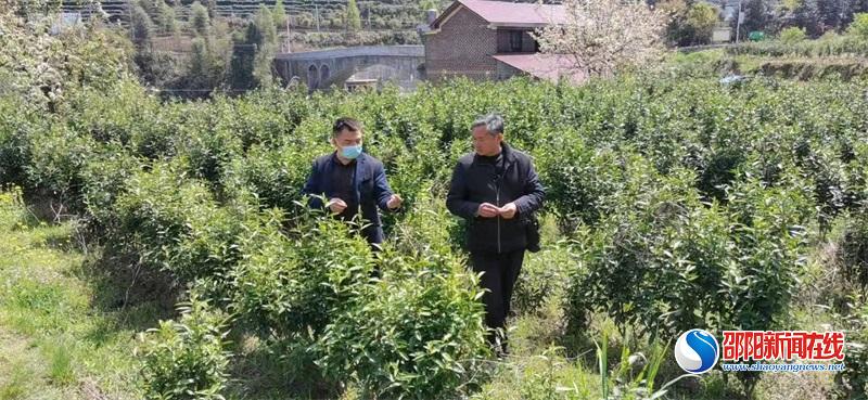 洞口县市场监督管理局多措并举服务县域产业园经济发展
