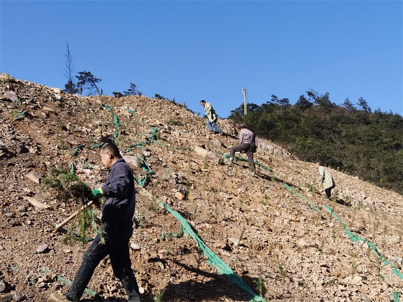  新邵县巨口铺镇推进露天矿山生态修复助力打赢蓝天保卫战