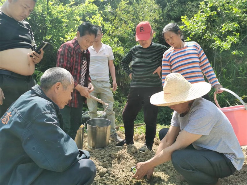 新邵县科工信局：聚焦产业发展 推动乡村振兴