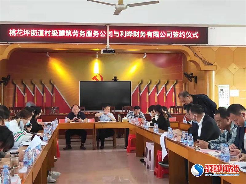 隆回县桃花坪街道召开关于发展壮大村级集体经济工作村(社区)书记座谈会