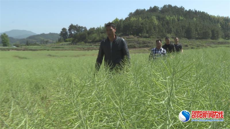 绥宁：兵支书退伍不褪色 带领村民脱贫致富