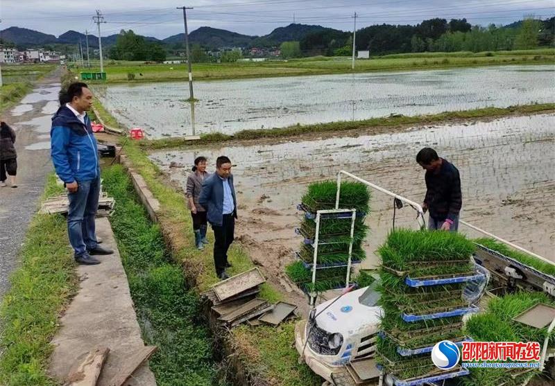 隆回县北山镇党员干部田间地头助春耕暖人心