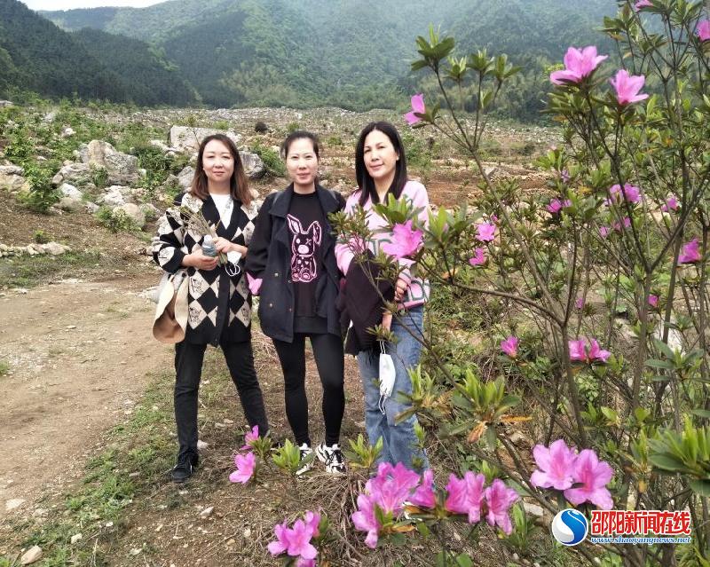 洞口县植树造林助力乡村振兴