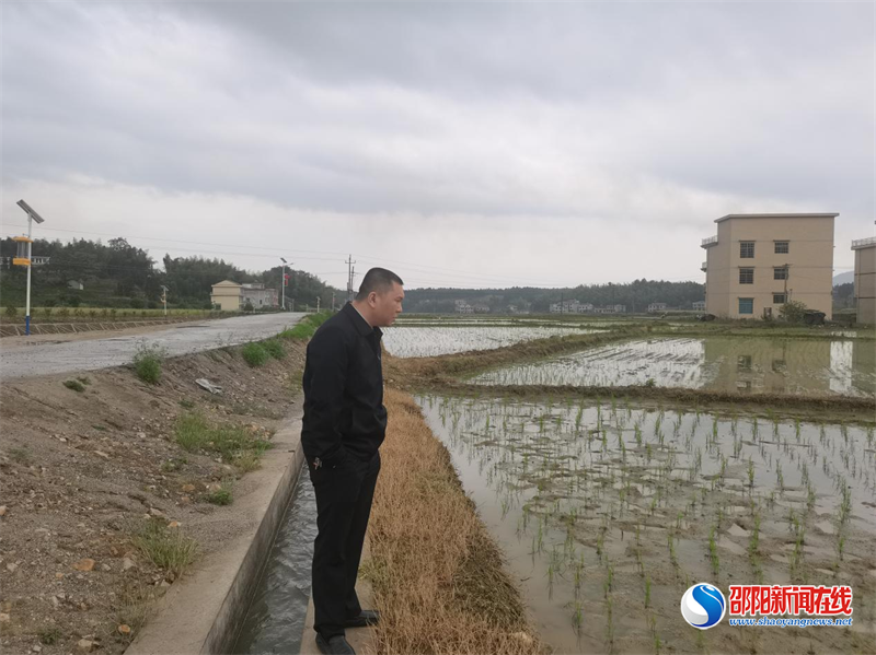 洞口县毓兰镇：违建“零容忍”打出“组合拳”
