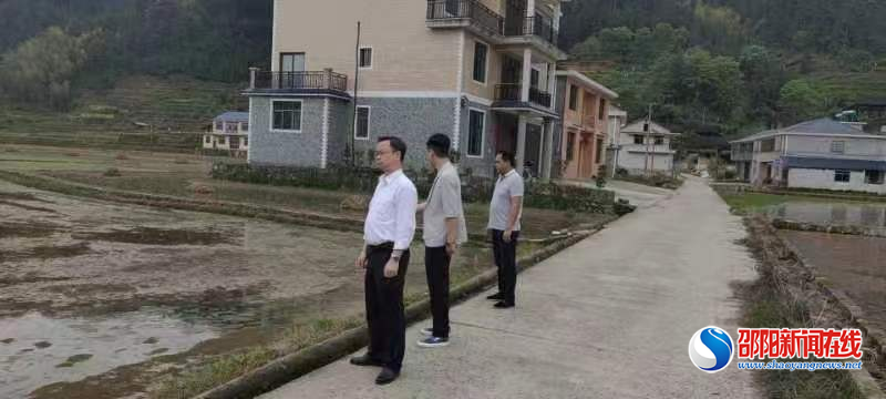洞口县江口镇：田长巡田 助力春耕