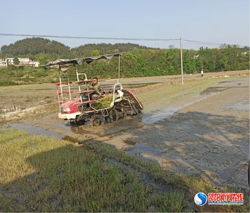新邵县巨口铺镇：备耕防疫“齐步走” 抗疫抢农“两不误”