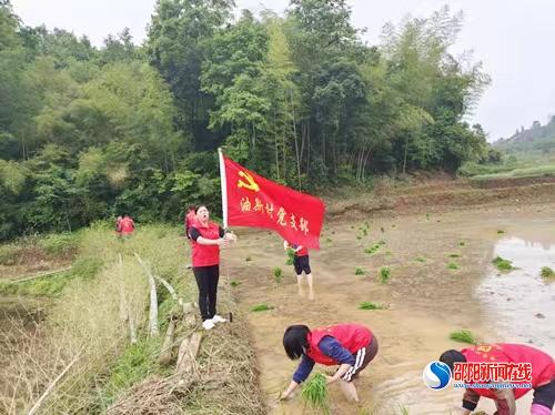 邵阳县黄亭市油斯村党员助农插秧庆“五一”