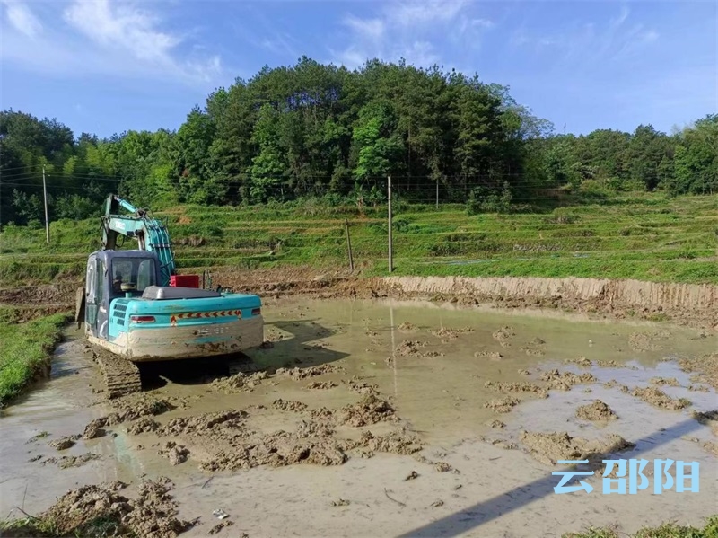 新邵县巨口铺镇：抛荒整治动起来，助力荒地披绿装