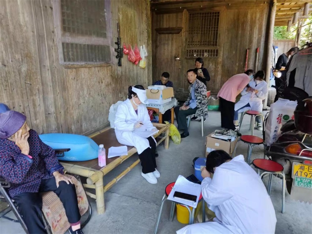 洞口县岩山镇开展送“苗”上门行动