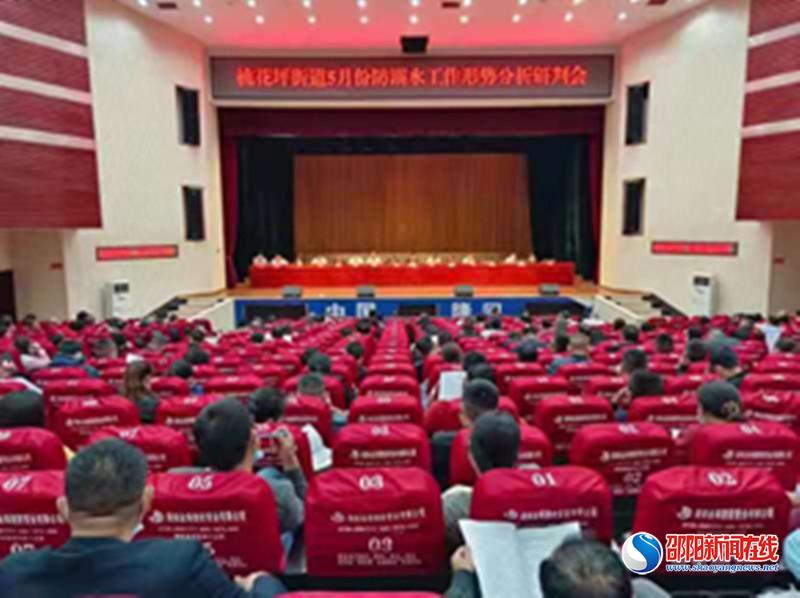 隆回县桃花坪街道召开5月份防溺水工作形势分析研判会