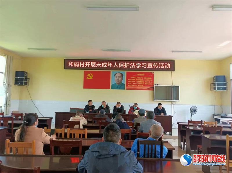 隆回县桃花坪街道各村社区召开未成年人保护法学习宣传活动