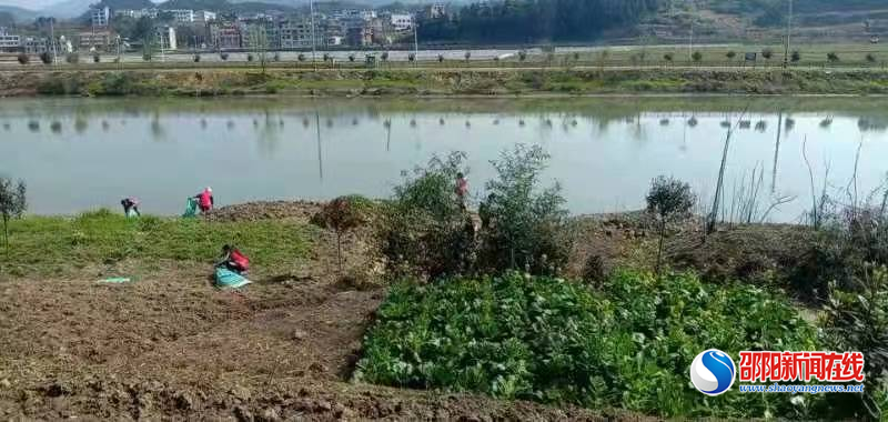 新邵县巨口铺镇：河道整治出实效 河畅水清展新颜