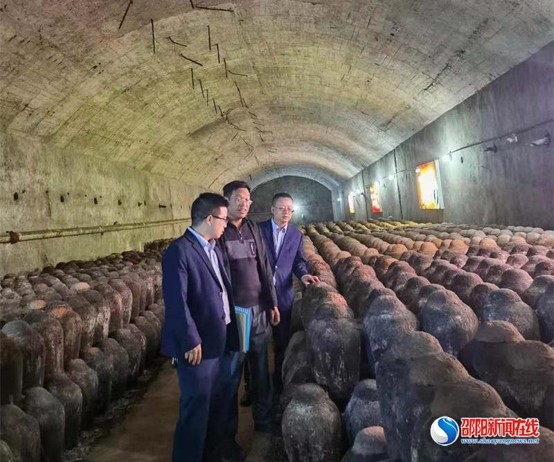 助企纾困 新邵农商银行有速度