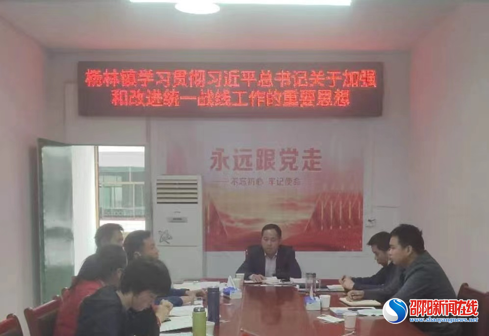 洞口县杨林镇组织开展集中学习会